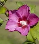 GS502302.jpg