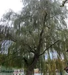 P21860_1.jpg