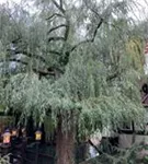 P21860_2.jpg