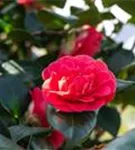 GS658730.jpg