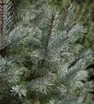 GS428854.jpg
