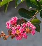 GS672255.jpg
