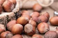 Corylus av.'Halle'sche Riesennuss' CAC