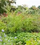 GS675405.jpg