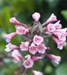 GS618901.jpg