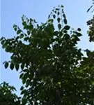 P46740_2.jpg