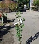 P44061_2.jpg