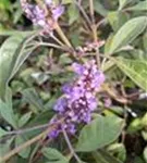 P2000745_2.jpg