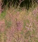 GS642657.jpg