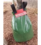 M1466_3.jpg