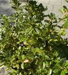 P40469_2.jpg