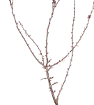 GS477707.PNG