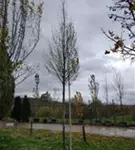 P1113_6.jpg