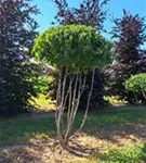 P1432_2.jpg