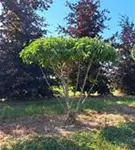 P1432_3.jpg