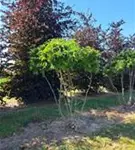 P1432_7.jpg