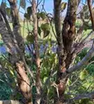 P1555_2.jpg