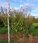 P1835_2.jpg