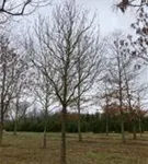 P2058_1.jpg