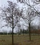 P2058_3.jpg