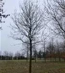 P2058_4.jpg