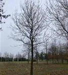 P2058_4.jpg
