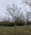 P2058_5.jpg