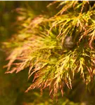 GS407506.jpg