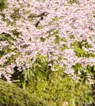 GS531787.jpg