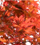 GS885992.jpg