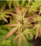 GS424870.jpg