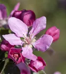 GS479280.jpg