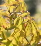GS587495.jpg