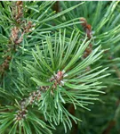 GS670725.jpg
