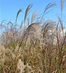 GS961701.jpg