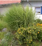 GS616358.jpg