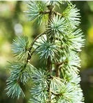 GS885964.jpg