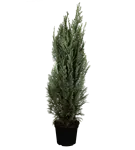 GS349471.png