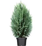 GS408278.png