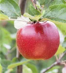 GS411149.jpg