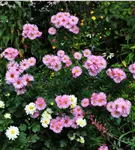 GS958320.jpg
