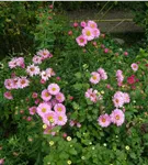 GS958324.jpg