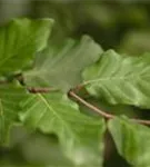 GS424990.jpg