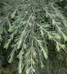 GS429491.jpg