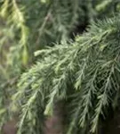 GS429490.jpg