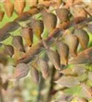 GS590725.jpg